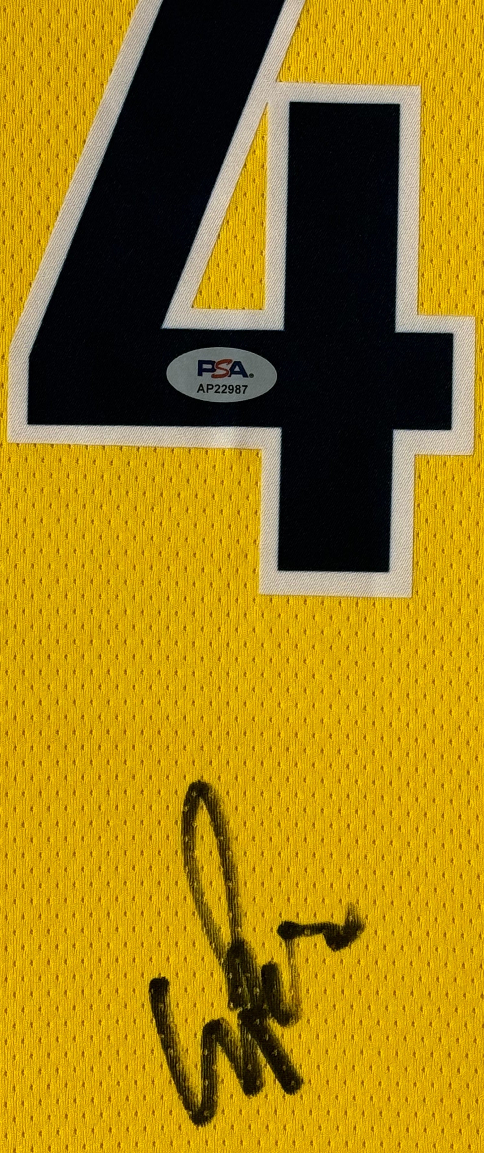 Pascal Siakam Signed Indiana Pacers Nike Jersey Framed PSA COA - Close up of Number