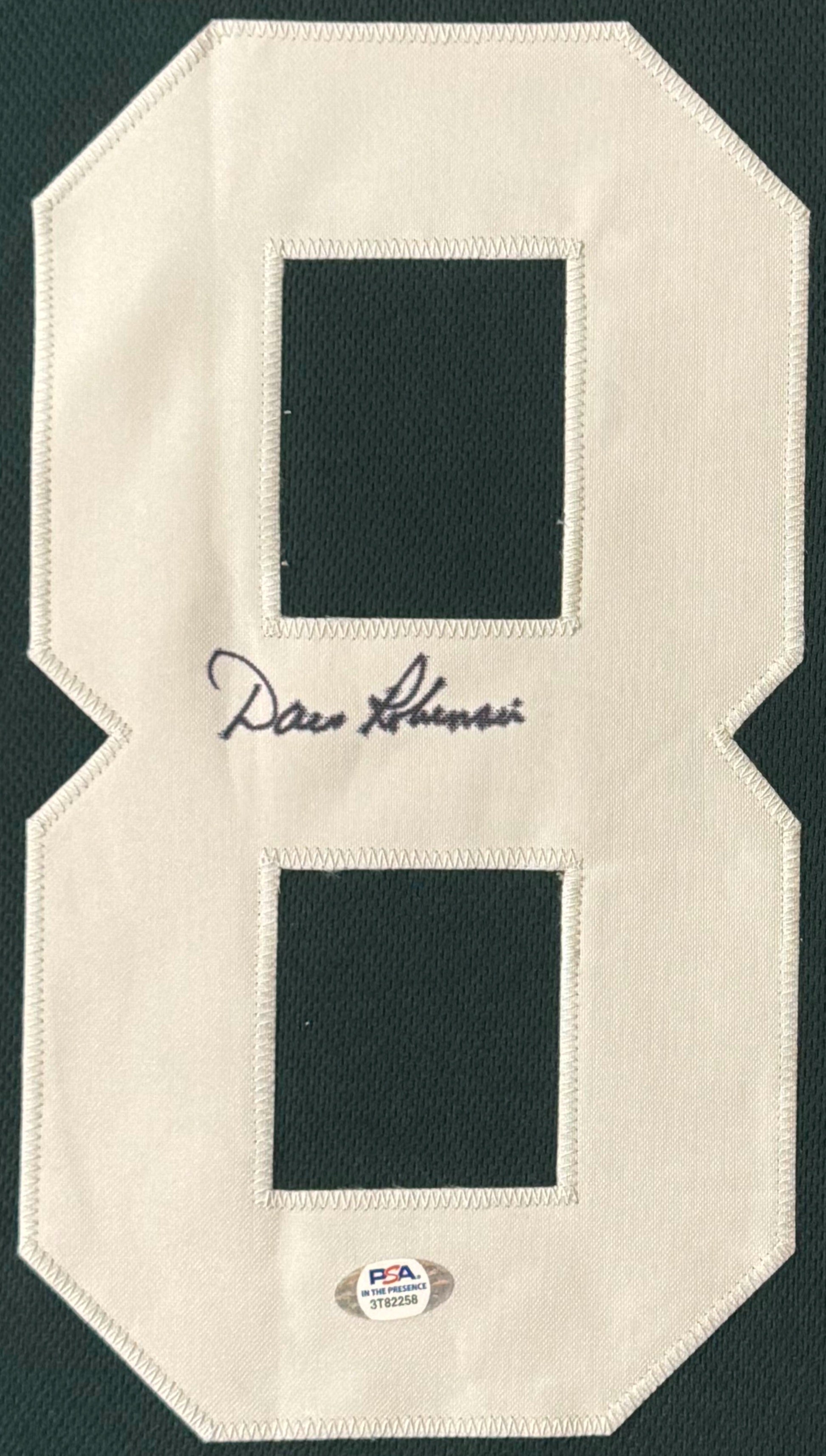 Dave Robinson Signed Green Bay Packers Jersey Framed PSA COA - Close up of Number