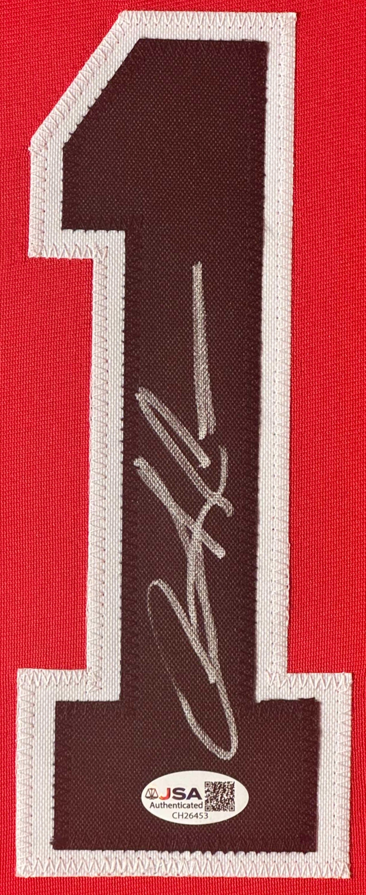 Dennis Rodman Signed Chicago Bulls Jersey Framed JSA COA - Close up of Number