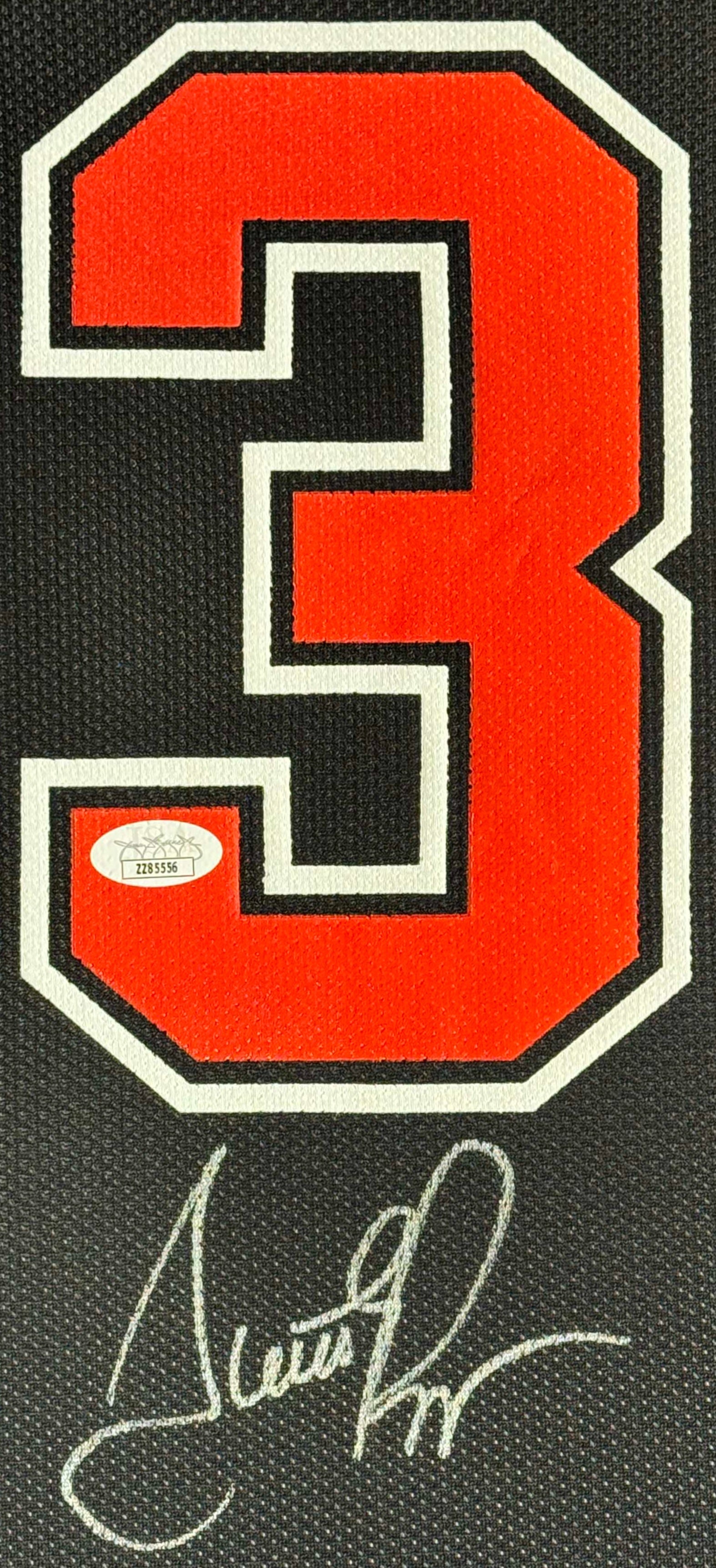 Scottie Pippen Signed Chicago Bulls Champion Jersey Framed JSA LOA & COA - Close up of Number