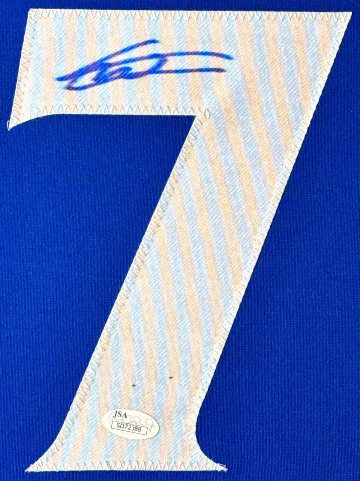 Vladimir Guerrero Signed Toronto Blue Jays Jersey Framed JSA COA - Close up of Number